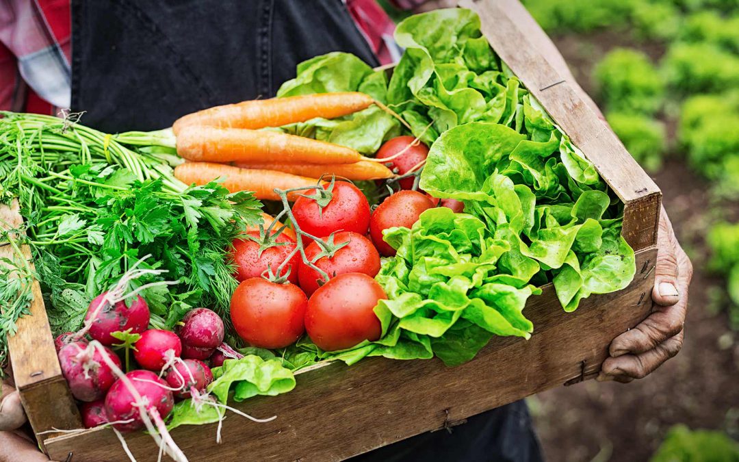 Agricultura